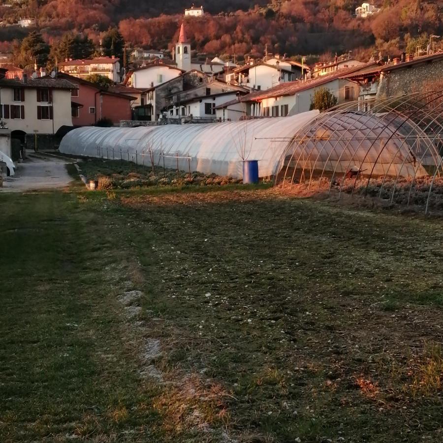 Agriturismo Corte Fontana App. Barbara Salò Eksteriør bilde